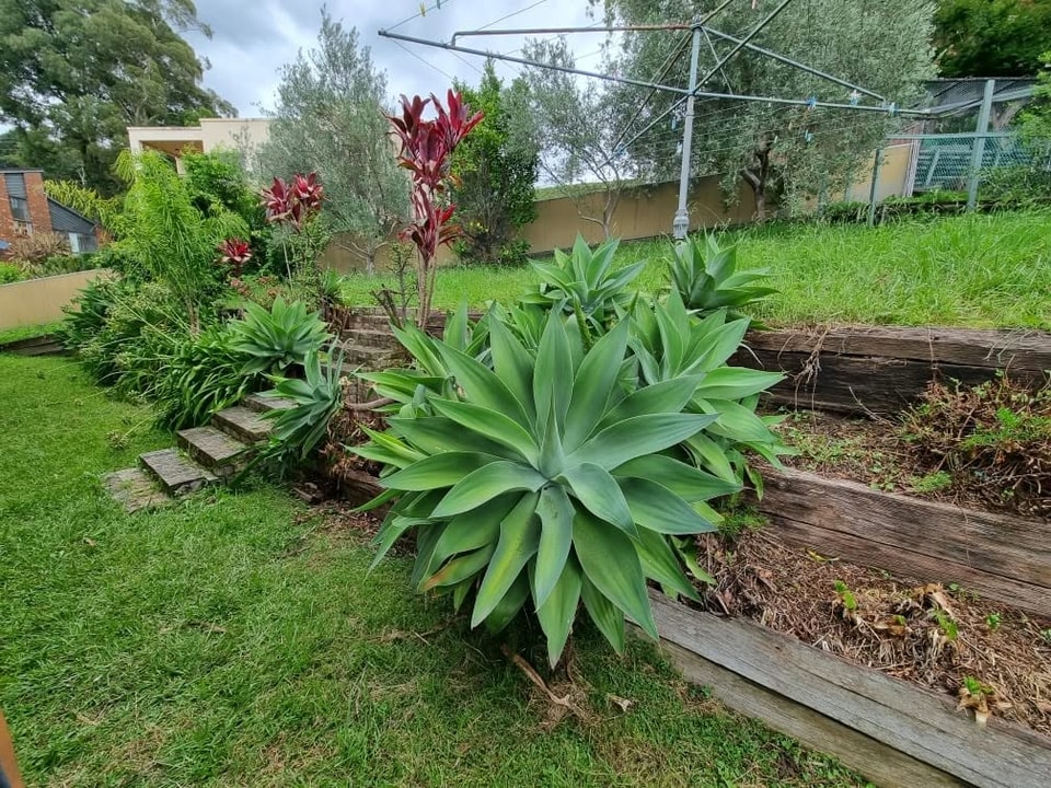 Engineered retaining wall built by Retain by Theo for a property in Dapto