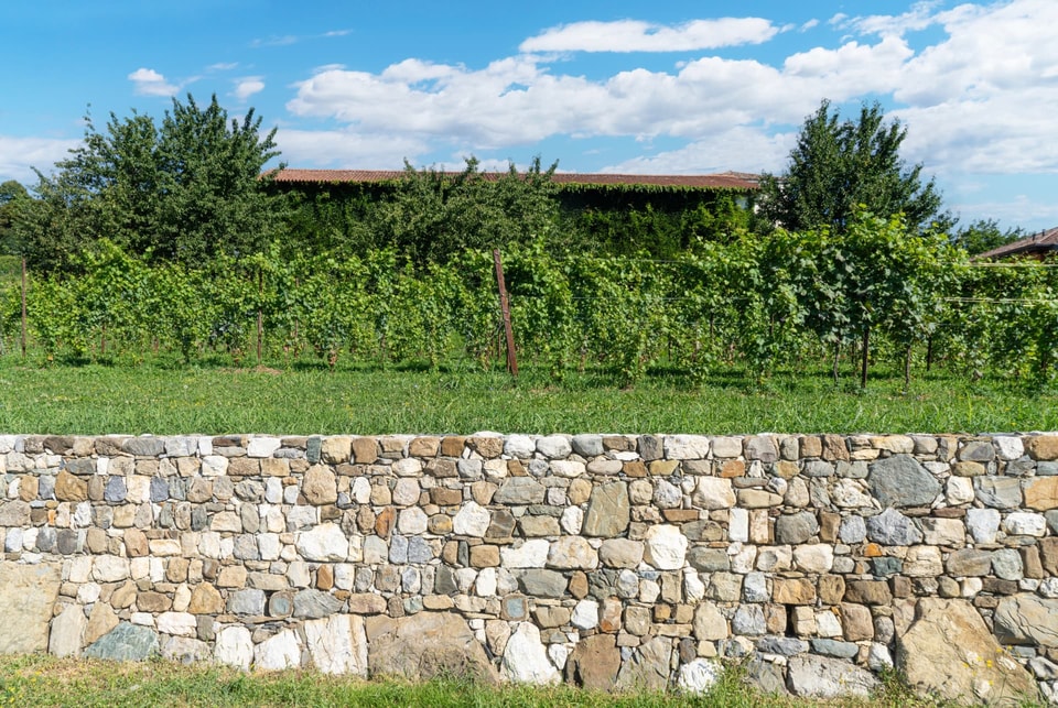 Dry stone retaining wall holding a raised garden terrace in Calderwood